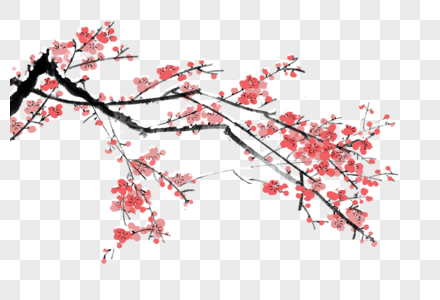 冬季梅花冬天的梅花枝高清图片