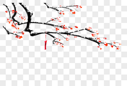 冬季梅花枝冬天的梅花枝高清图片