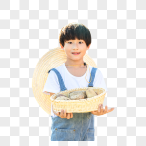 小男孩手捧土豆元素素材下载 正版素材 摄图网
