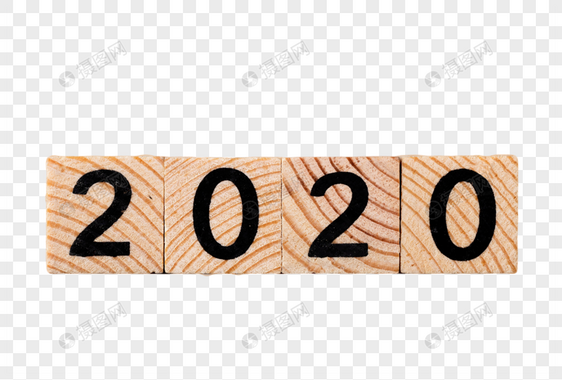 2020年积木图片