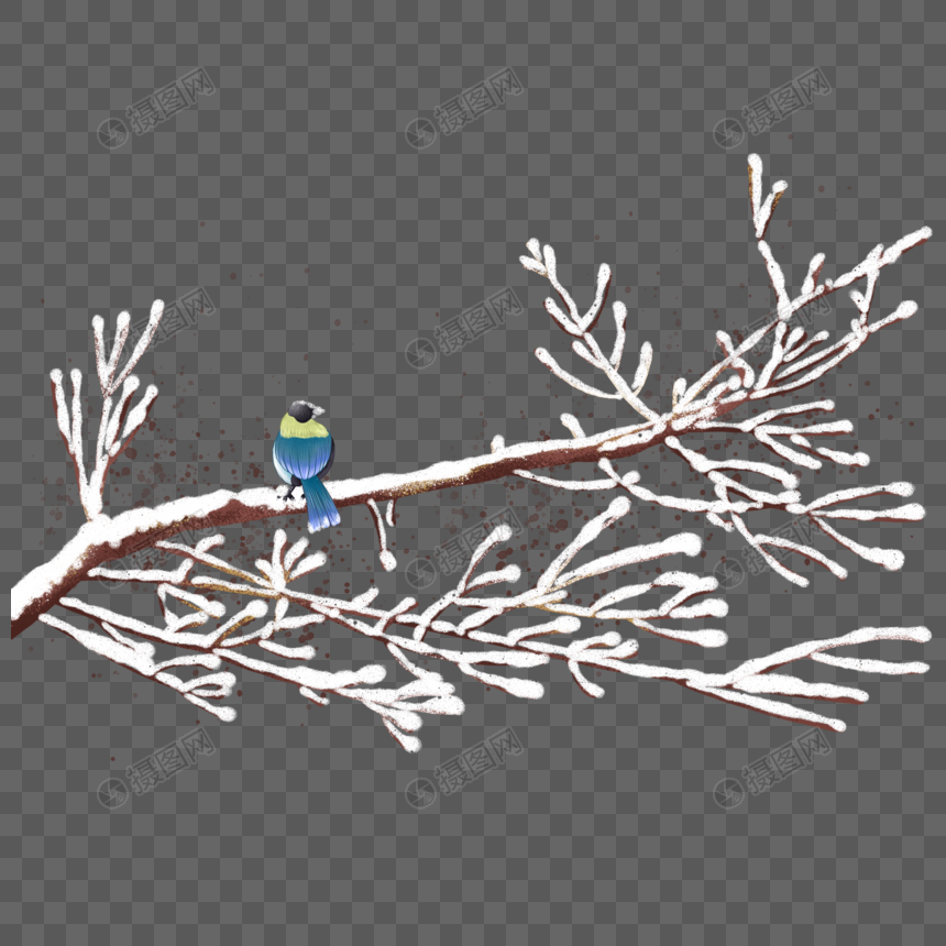 喜雀站在积雪的树枝上图片