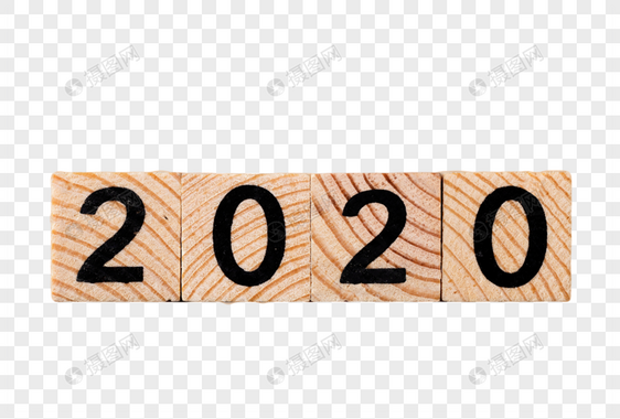 2020积木图片