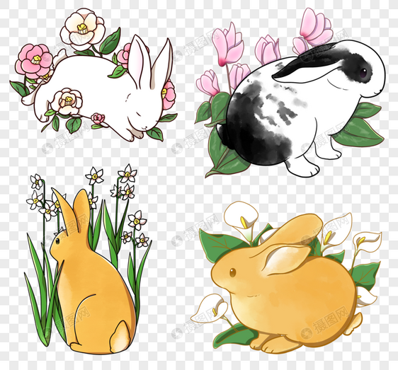 花和兔子图片