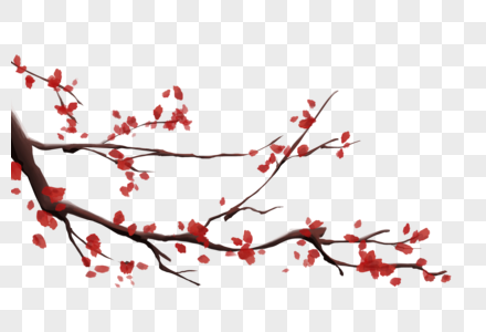 梅花枝冬季的梅花枝高清图片