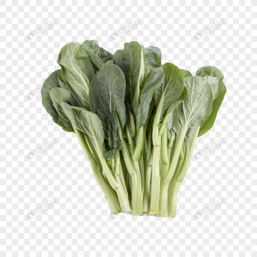 青菜油菜图片