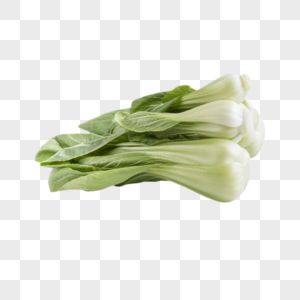 小油菜绿色蔬菜图片