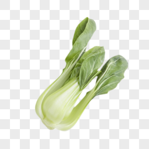 绿色蔬菜小油菜图片