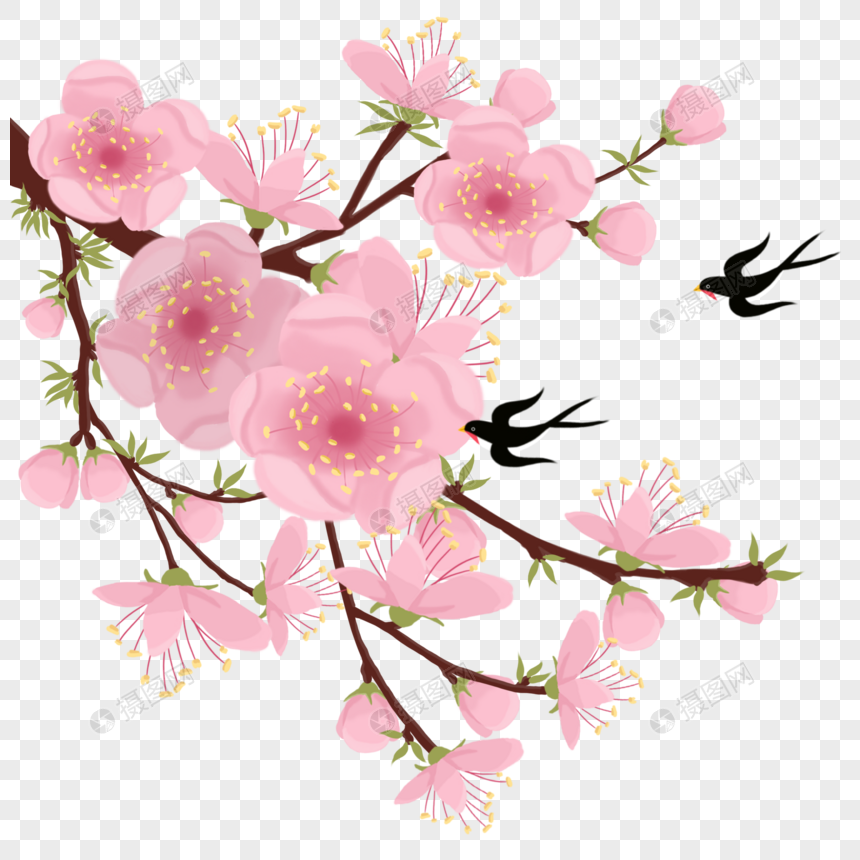 桃花元素素材下载 正版素材 摄图网 桃花元素素材下载 正版素材 摄图网