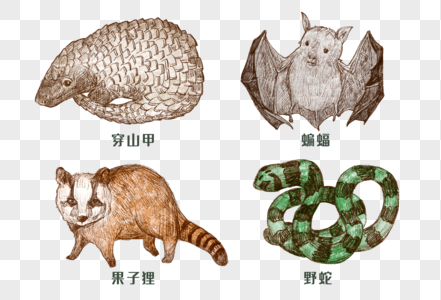 手绘素描野生动物图片