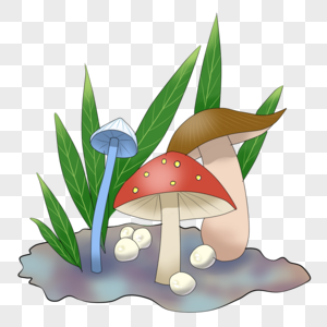湿地蘑菇图片