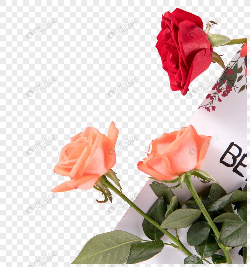 玫瑰花元素素材下载 正版素材 摄图网