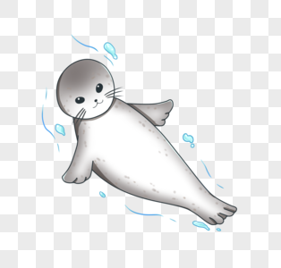 海豹可爱斑海豹素材