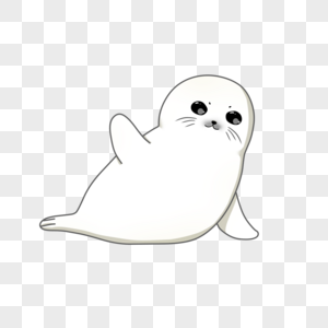 小海豹图片素材