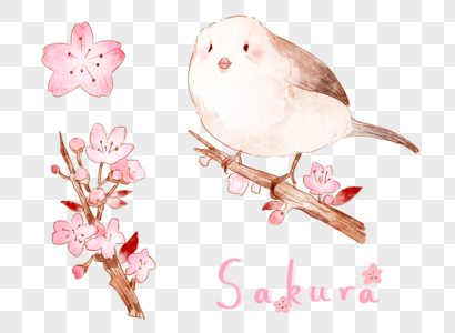 春日清新小鸟与樱花图片