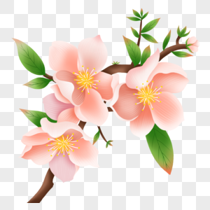 金银花元素素材下载 正版素材 摄图网