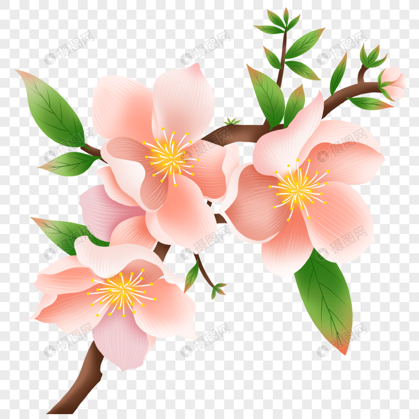 春天开花的树枝元素素材下载 正版素材 摄图网 春天开花的树枝元素素材下载 正版素材 摄图网