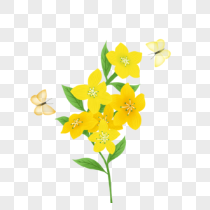 蝴蝶在黄色花多上飞高清图片