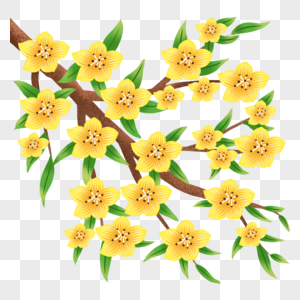 黄色花开图片