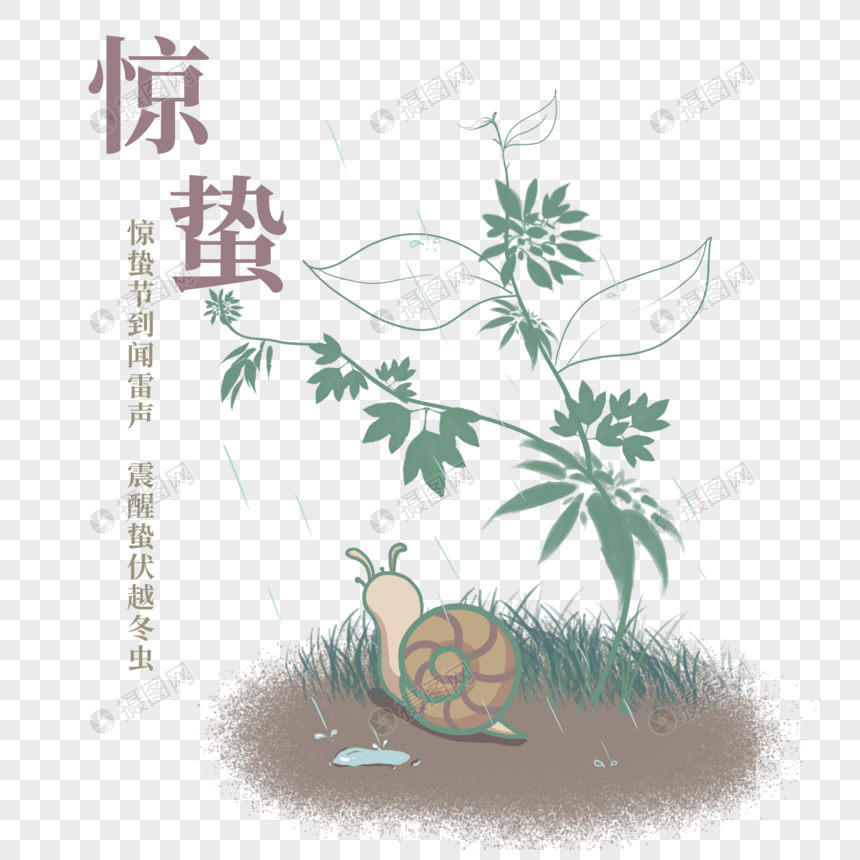 青藤下的蜗牛图片