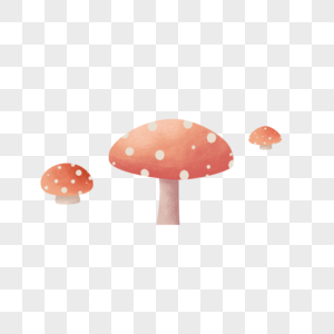 春天的蘑菇图片