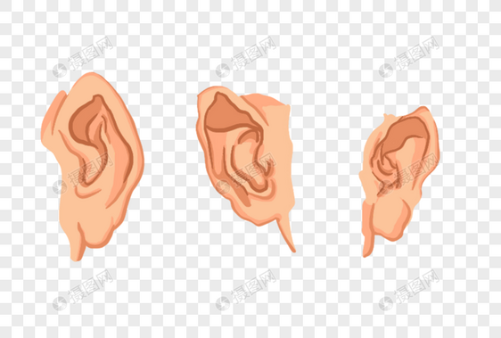 人体五官耳朵素材图片