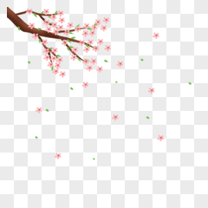 桃花树花瓣飘落图片
