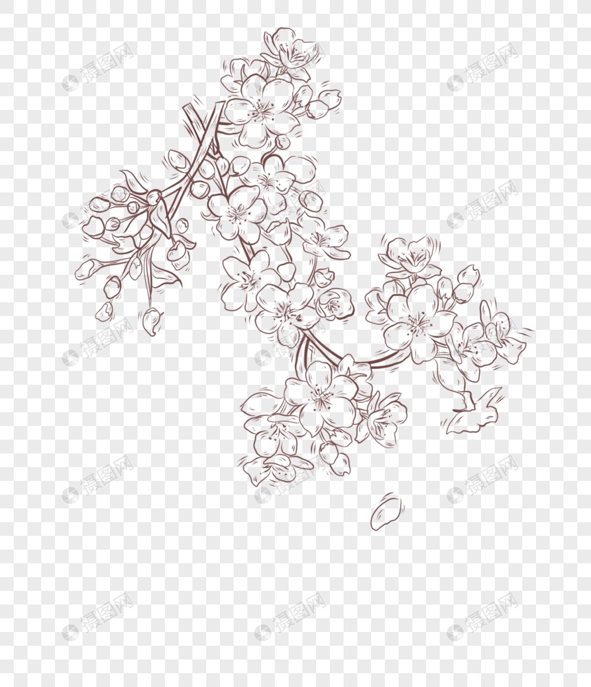春分线稿梨花