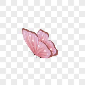 飞翔的粉色蝴蝶图片