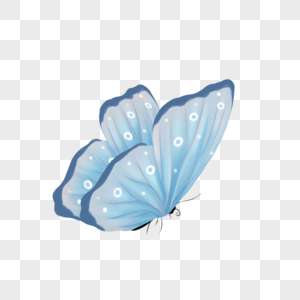 飞翔的蓝色蝴蝶图片