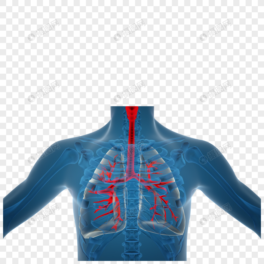 肺部X光片图片