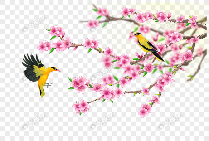 黄莺与桃花图片