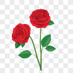 玫瑰花红色玫瑰花手绘高清图片
