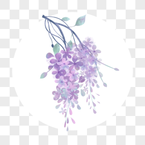 春天紫藤花朵装饰元素图片
