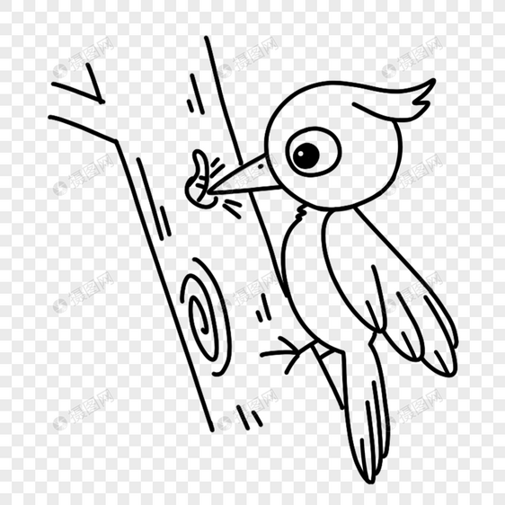 啄木鸟简笔画线稿图片