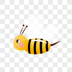 飞翔的小蜜蜂图片