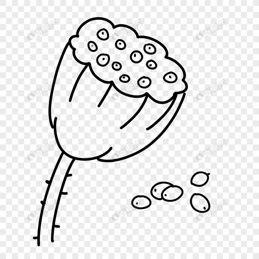 莲蓬简笔画线稿