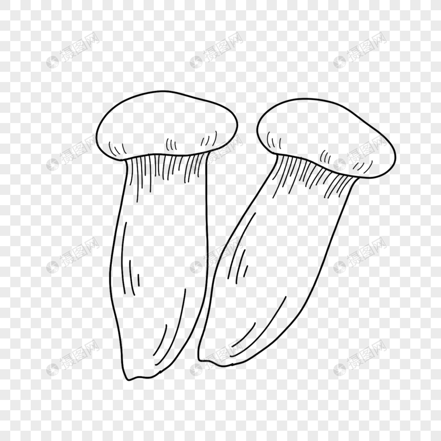杏鲍菇简笔画线稿