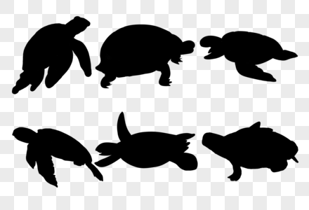 海龟剪影图片