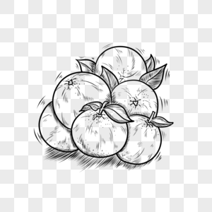 维生素c药片食物黑白线稿水果橘子素材