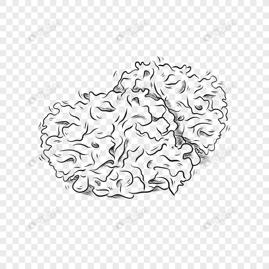 食物蔬菜黑白线稿银耳