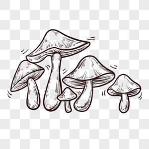 手绘植物蘑菇简笔画高清图片