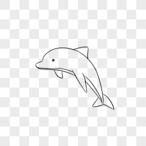 海豚线稿图片