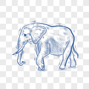 蓝色线条动物简笔画大象图片
