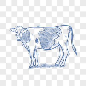 蓝色线条动物简笔画奶牛图片