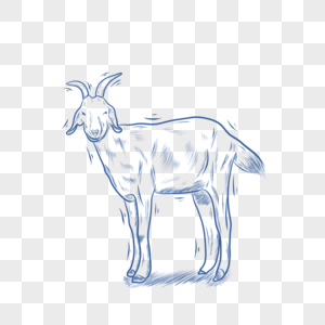 蓝色线条动物简笔画山羊图片