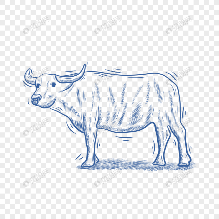 蓝色线条动物简笔画水牛图片