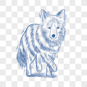 蓝色线条动物简笔画狐狸图片