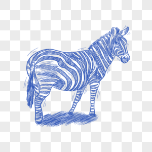 蓝色线条动物简笔画斑马图片