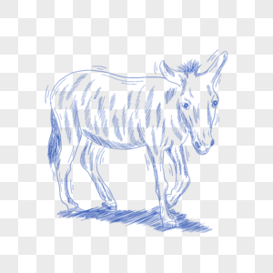 蓝色线条动物简笔画毛驴图片