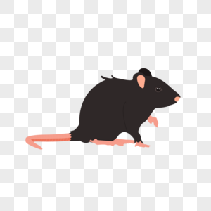 小老鼠可爱图片